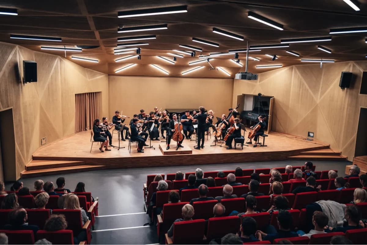 Debut Crocodile Orchestra
