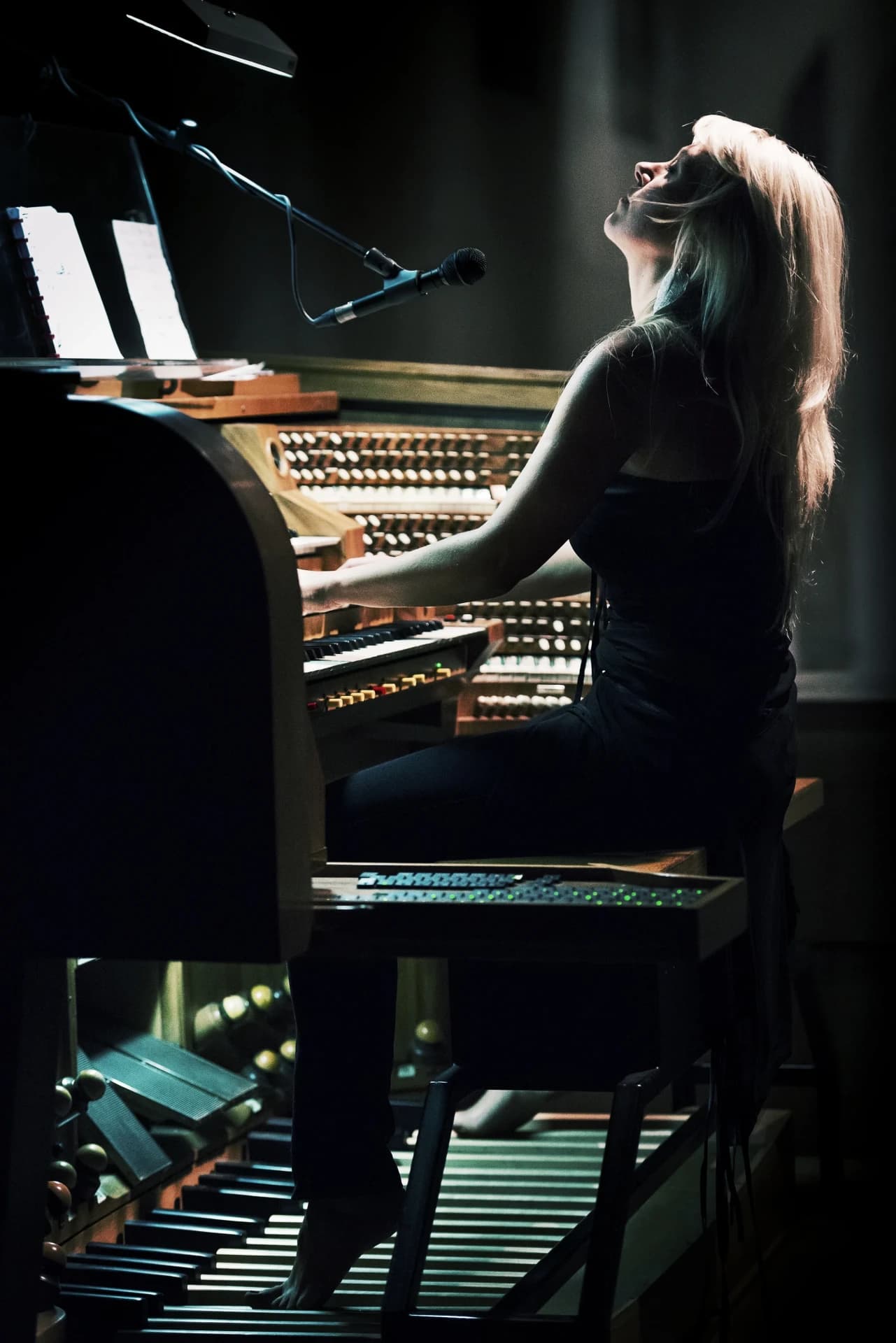 VOX ORGANI